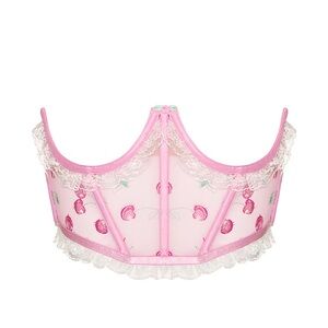 NEW: For Love and Lemons Sweet Cherries Corset